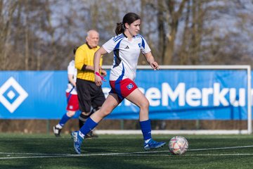 Bild 240 - F Hamburger SV 3 - Blau-Weiss 96 : Ergebnis: 5:1